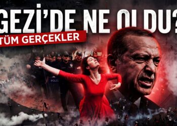 Gezi Parkı ve Erdoğan